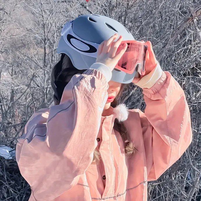 火线追凶2之鹈鹕行动